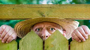 Nachbargrundstücke im kritischen Blick 