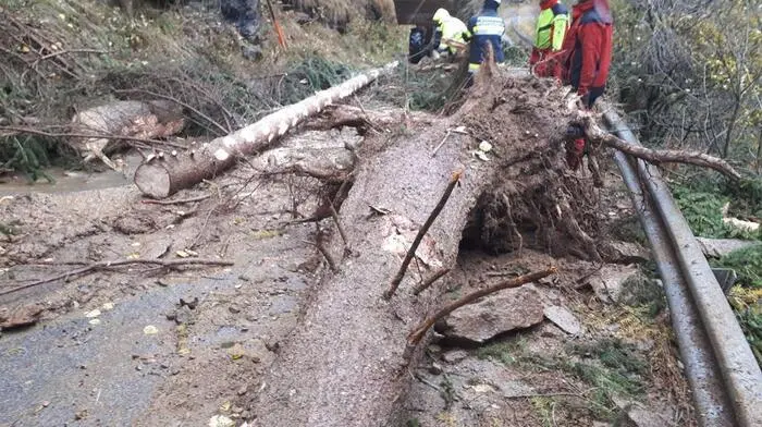 Rund 60 Kilometer Wegenetz wurde am Dienstag und Mittwoch von großen Holzmengen, Geröll, Steinen, Wurzeln beseitigt.