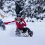 Auch die Rodelbahn am Salzstiegl ist wieder der Renner