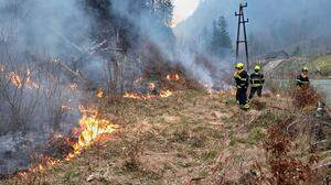 In Wildalpen kämpfen die Feuerwehren weiter gegen Glutnester