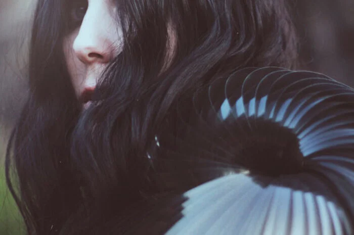 Eine gewisse Härte bringt auch Chelsea Wolfe mit: Die US-Sängerin mit Faible für Metal und Gothic ist immer für eine eindringliche Performance gut und schaut am 4. August in der Wiener Arena vorbei.