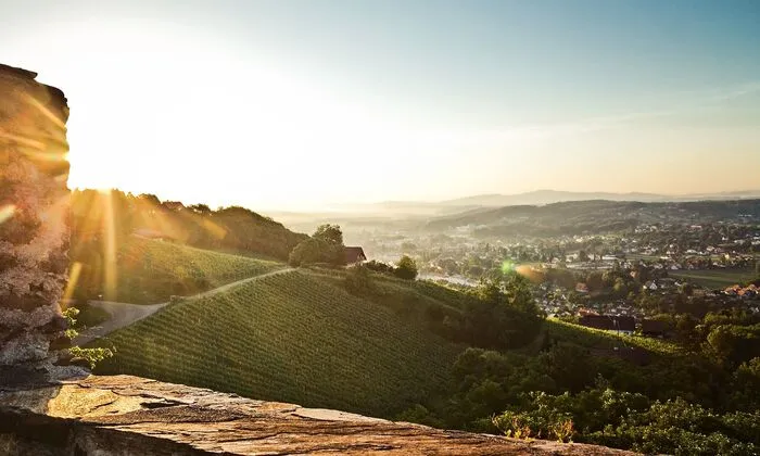 Einzigartig sind unsere sanften Hügel auf denen der Schilcherwein wächst und gedeiht