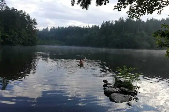 Mitten im Wald liegt der obere Spintikteich in der Nähe des Rauschelesees. Die leicht bräunliche Wasserfarbe kommt von Moorzuflüssen. Festes Schuhwerk für kurzen Fußmarsch mitnehmen.