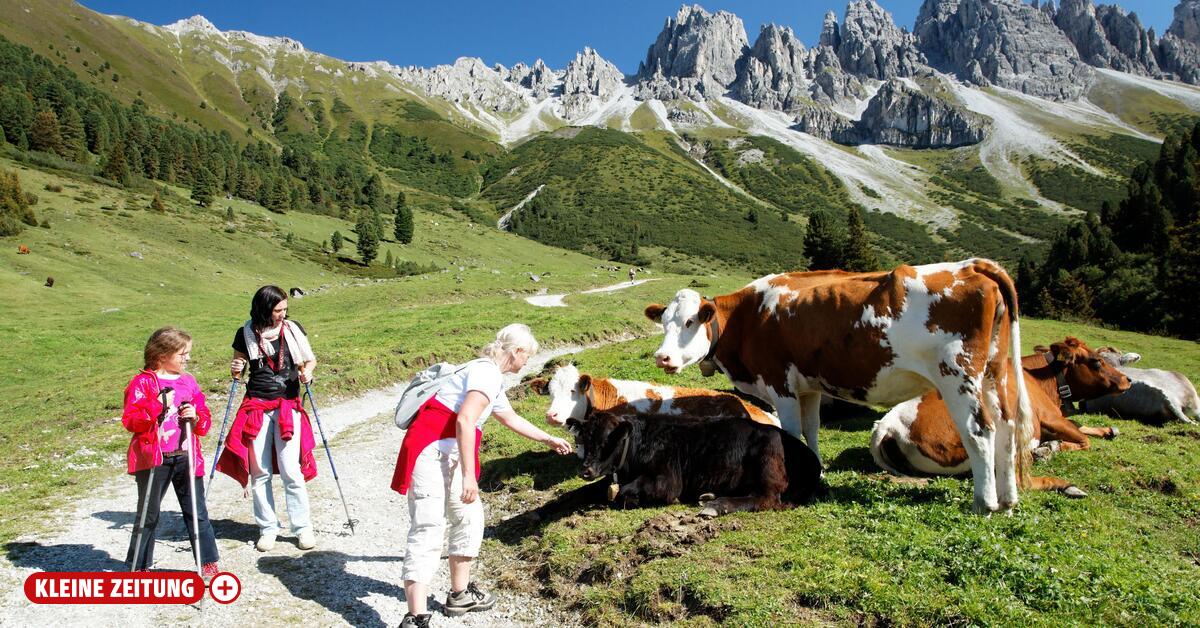How a peaceful hike suddenly turns dangerous