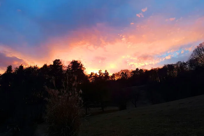 Die Hauptdarsteller des Schauspiels kennt Meteorologe Albert Sudy: „Das hängt mit den Wolken und ihrer Höhe zusammen.“