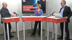 Psychiater Michael Lehofer und Apothekerin Alexandra Mandl im Gesundheitstalk der Kleinen Zeitung