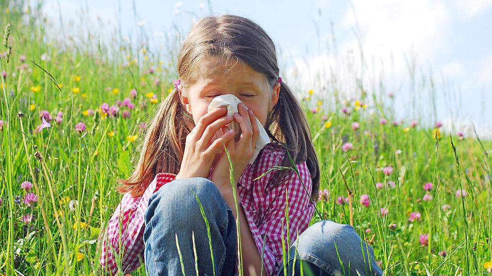 Allergiker erwartet heuer ein eher unterdurchschnittliches Pollenjahr. 