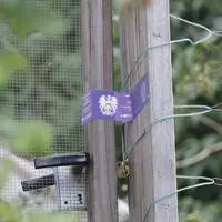 Das Eingangstor zum Grundstück in Kumberg wurde amtlich versiegelt 