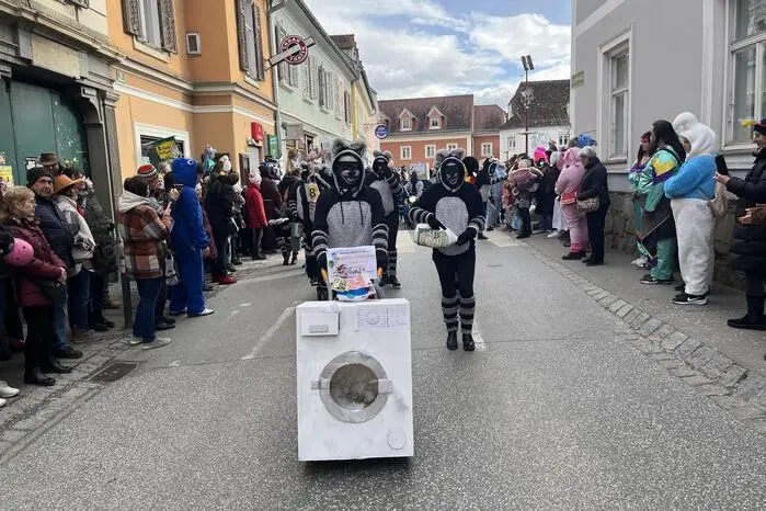 Die Geldwäsche-Waschbären des Notariats Starkel & Partner