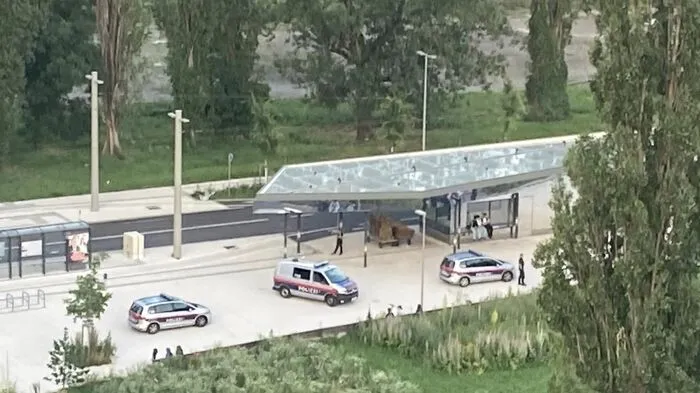Rund um den Pavillion beim Reininghauspark hat sich in den vergangenen Wochen eine Jugendszene gebildet, die bei vielen Anrainer für Beunruhigung sorgt.