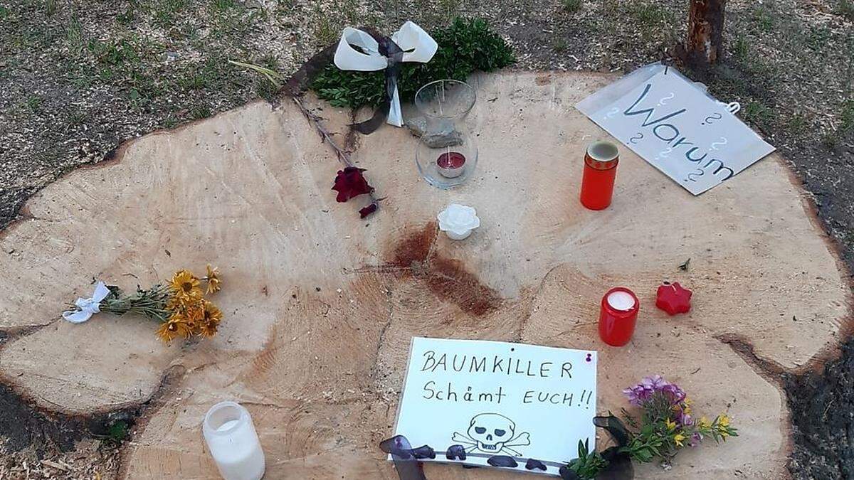 Am 6. August wurde die Dorflinde in Treffling (Seeboden) geschlägert. Nun prüft auch das Land den Fall