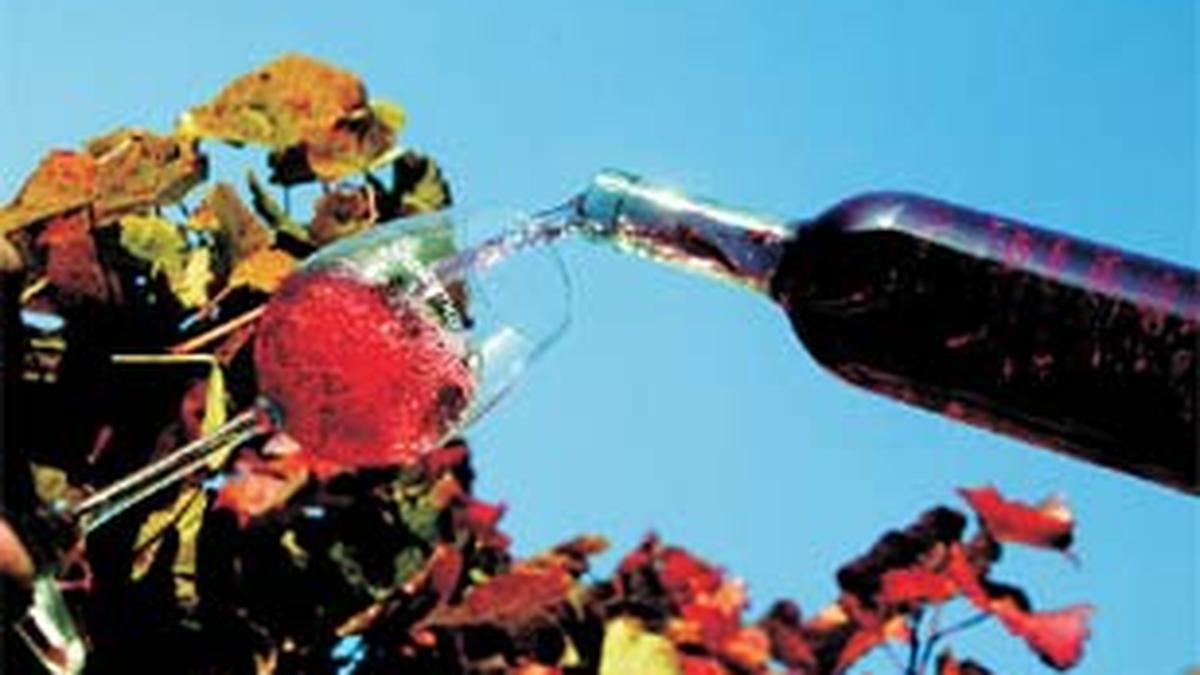 Dünn oder lieber mollig?