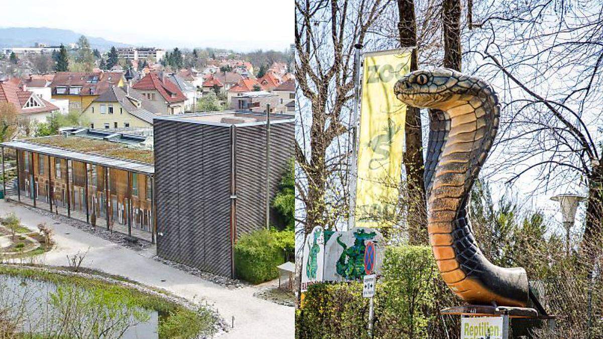 Der Botanische Garten und die Tiere im Reptilienzoo warten auf Besucher.