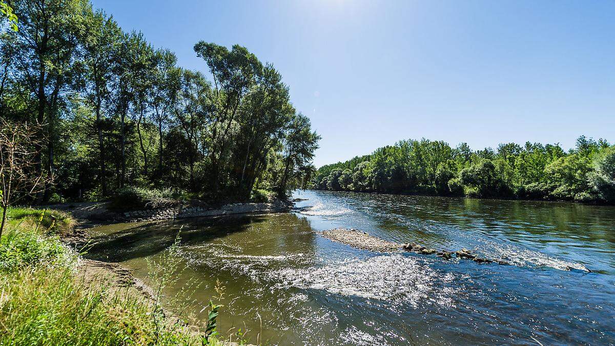 An einem Weg in den Murauen zwischen Bad Radkersburg und der slowenischen Grenze kam es zu dem Vorfall