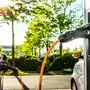 Liegt die Zukunft allein in der E-Mobility? 