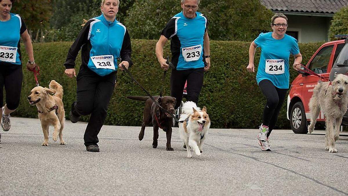 An der Leine bewältigen die Mensch-Hund-Teams gemeinsam die Laufstrecke