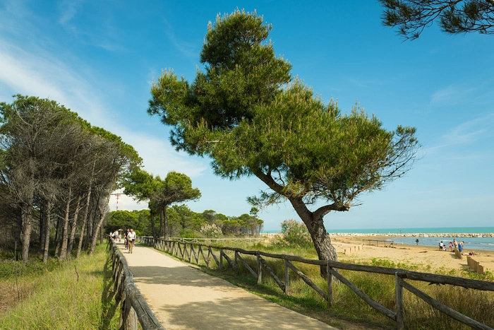 Bibione ist für seine top Radwege bekannt
