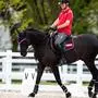 TOKYO,JAPAN,21.AUG.21 - PARALYMPICS, EQUESTRIAN, DRESSAGE - Paralympic Summer Games Tokyo 2020, preview, training. Image shows Josef Pepo Puch (AUT). Photo: GEPA pictures/ Matic Klansek