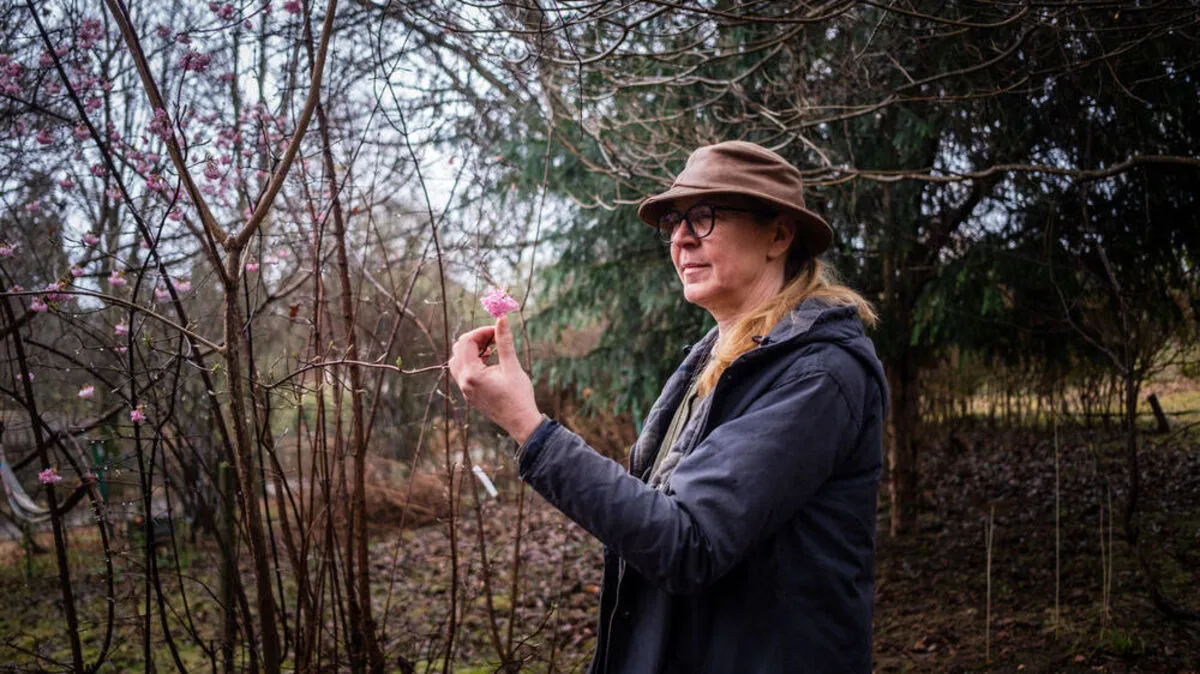 Die ersten Knospen blühen schon, bald erstrahlt ´Giovannis Garden´ wieder in alter Pracht.