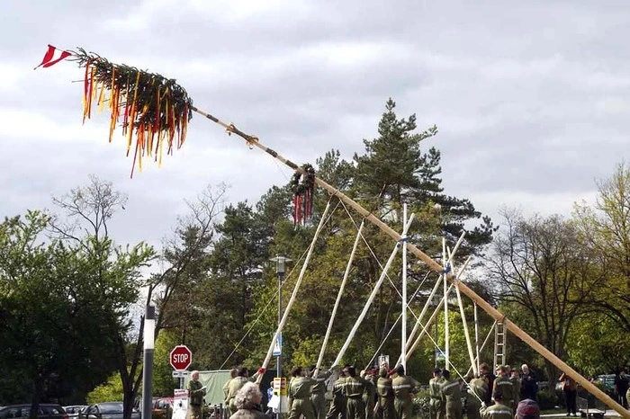 ...wurde ein 27 Meter hoher Maibaum in den Nachmittagsstunden...