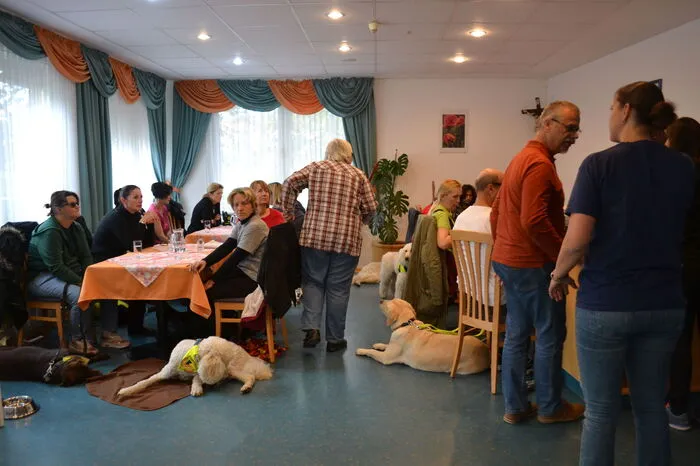 Im Mittelpunkt des Seminars, das vom Messerli Forschungsinstitut der Veterinärmedizinischen Universität Wien und dem Blindenverband organisiert wurde, standen der Blindenführhund selbst und die Beziehung zwischen Mensch und Tier.