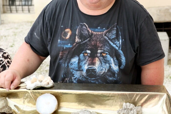 Übrigens: Bestens organisiert wurde die Schau von Bruno Krestan (Foto) aus Wildbad Einöd. 