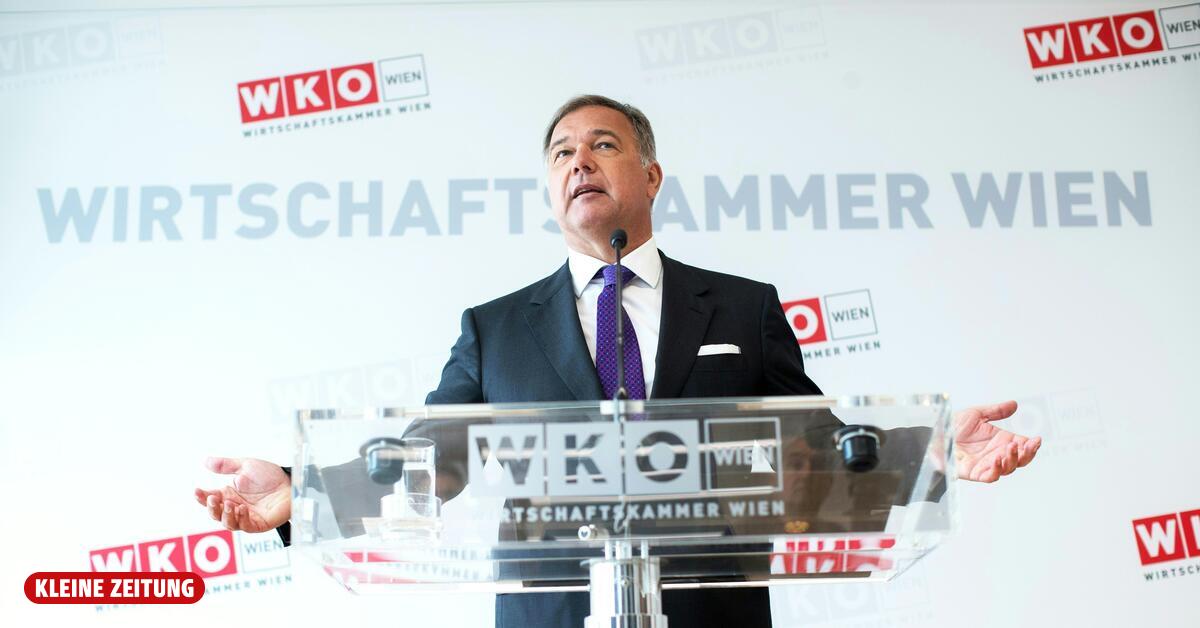 Die Ruck-Affäre: Warum ein Parteiausschluss kaum Wirkung zeigen wird