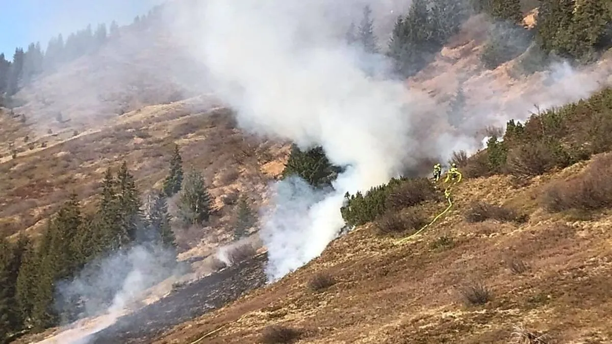 Feuerwehr auf die Planneralm gerufen