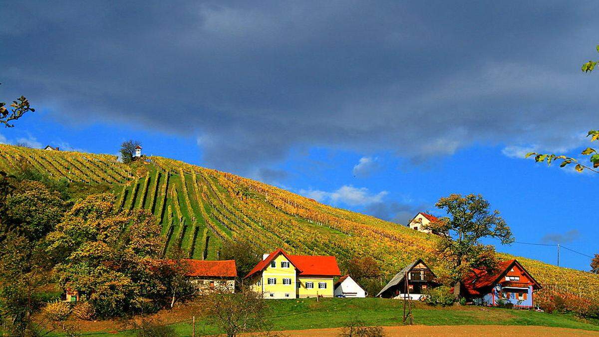 Der Weinweg der Sinne in St. Anna