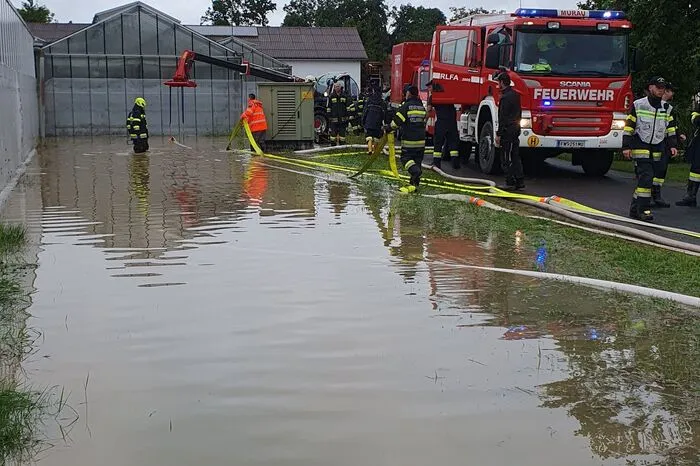 Auch die Firma Jungpflanzen Scherr stand unter Wasser