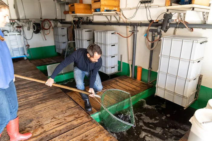Durch das geschlossene Aquaponik-Kreislaufsystem wird das Wasser aus dem Fischhaus ganz natürlich durch Filter und Mikroorganismen aufbereitet.