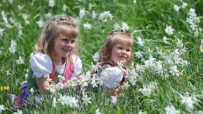 So manche Wiese steht bereits in der Vollblüte