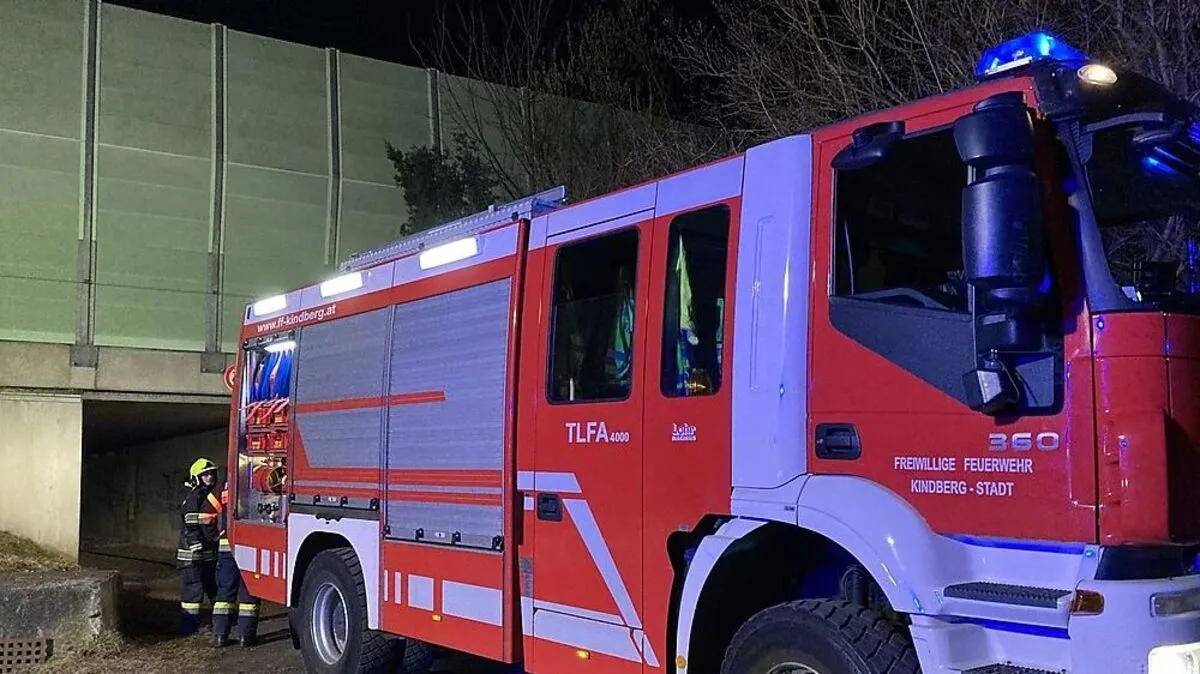 Der Bahndammbrand trat zwischen der S6 Schnellstraße und der Südbahnstrecke auf