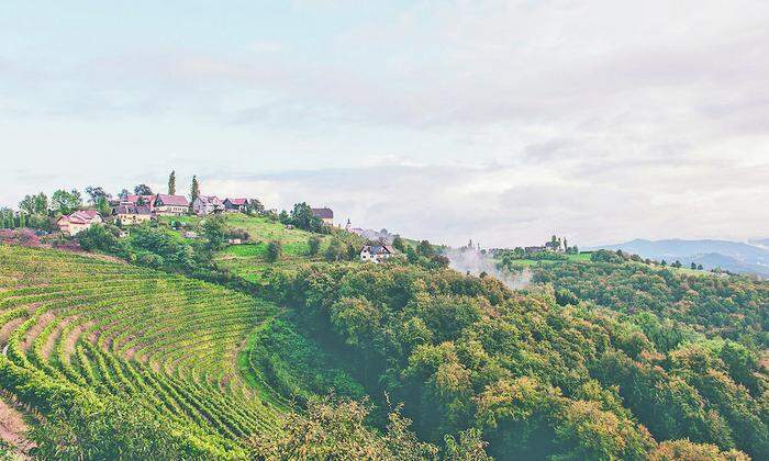 Es herbstelt in der steirischen Toskana:  hier der Blick vom Weinhof Kappel 