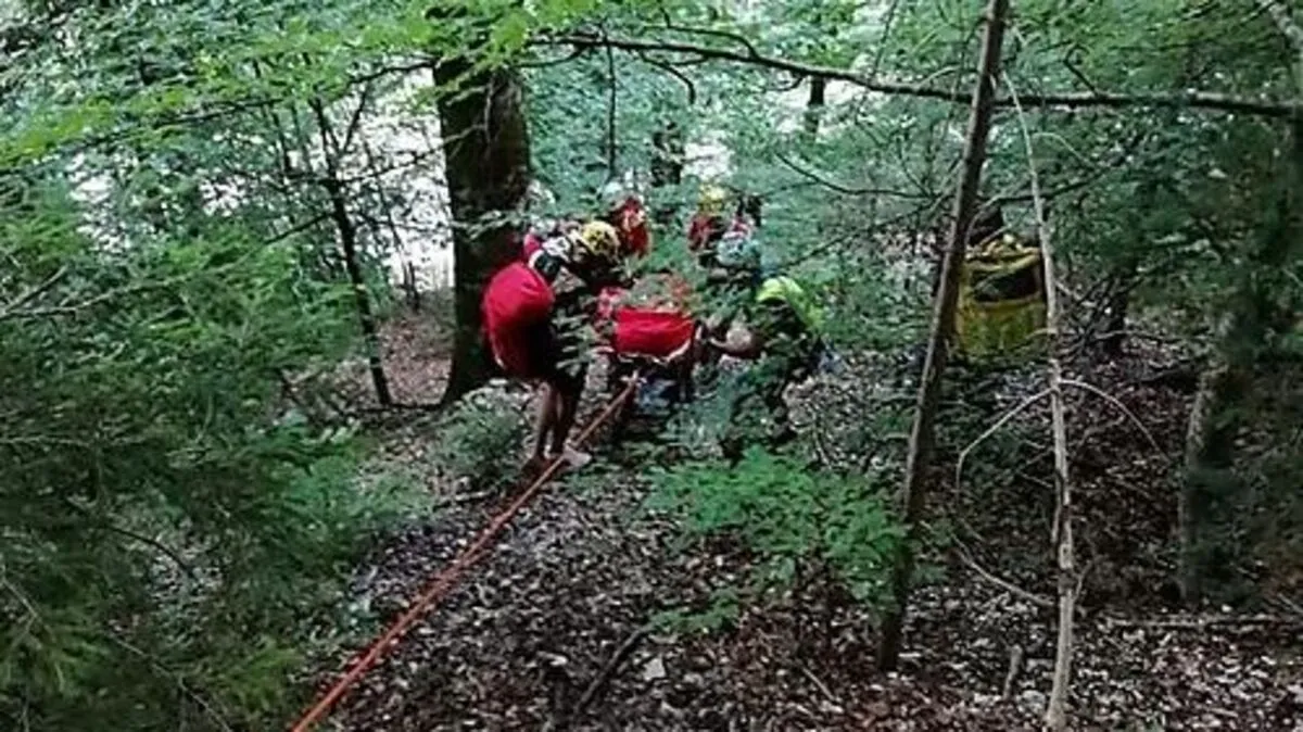 Die verletzte Frau wurde vom Wanderweg bis zur Fahrbahn abgeseilt
