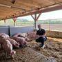 Landwirt Peter Pucher hat seinen Schweinestall klimafit umgerüstet.