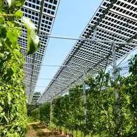 In der Versuchsstation für Obst- und Weinbau Haidegg des Landes Steiermark wird eine Agri-PV-Anlage getestet. Sie erzeugt Strom und soll die Pflanzen vor Frost und Starkregen schützen. 