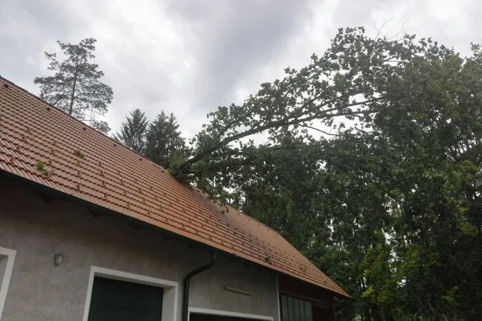 In Haide (Gemeinde St. Kind) rückten die Wehren St. Kind, Feldbach und Breitenfeld aus, um ein Dach von einem Baum freizumachen.