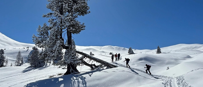 Der Neuschnee in den vergangenen Tagen hat die Landschaft im Großarltal weiß angezuckert