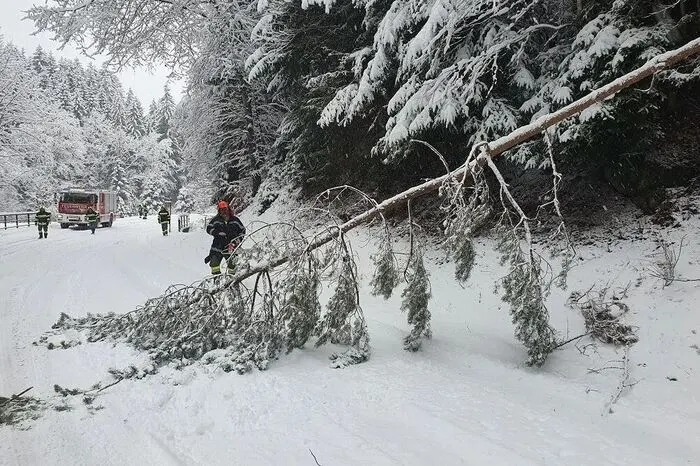 Die FF Miesenbach rückte auf die Landesstraße 405 bei Außeregg aus, um einen Baum zu entfernen.