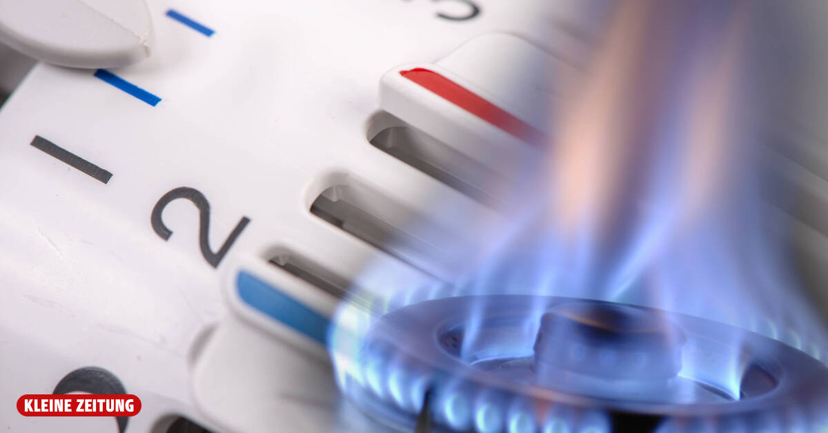European gas price rises to highest level since March