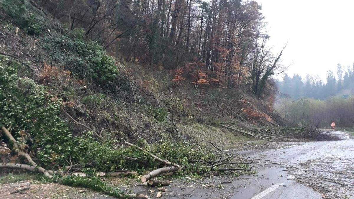 Seit Donnerstag waren Holzschlägerungsarbeiten in der Steinwandkurve in Gange