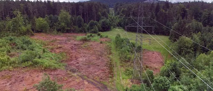 Vogelperspektive auf eine Stromleitung, daneben wurden Schlägerungsarbeiten durchgeführt