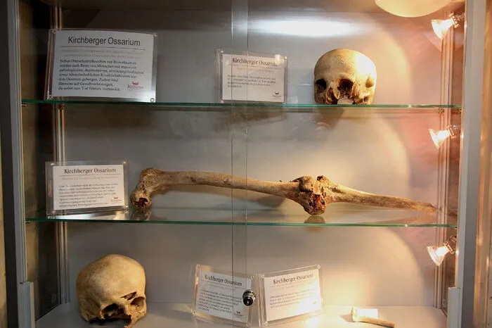 Das neue Ossarium