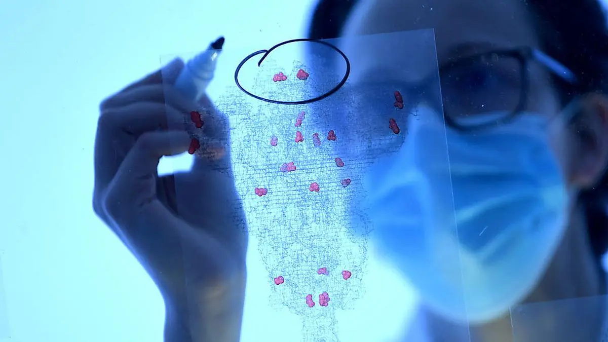 ABD0033_20210303 - WIEN - ÖSTERREICH: ++ THEMENBILD ++ Die "Mutantenjägerin" Luisa Cochella beim Betrachten der Strukturen von Corona-Spike-Proteinen mit Mutationen in einem Labor der "IMBA" am BioCenter in Wien fotografiert am 26. Februar 2021. - FOTO: APA/ROLAND SCHLAGER