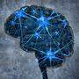 Parkinson zerstört Nervenzellen im Gehirn