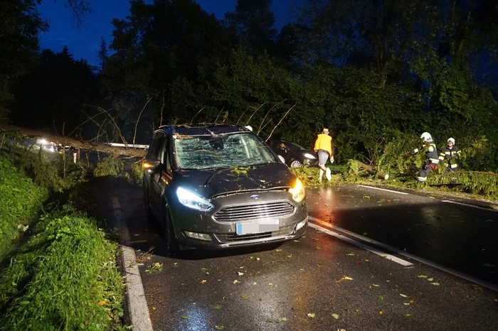 ... was zur Folge hatte, dass zahlreiche Feuerwehren in den Einsatz gerufen wurden. In Lebring-St. Margarethen traf ein Baum ein fahrendes Auto, es gab aber keine Verletzten Personen.