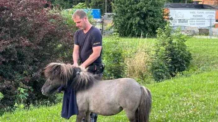Polizist der Dienststelle Ober-Grafendorfer mit einem der „Flüchtigen“
