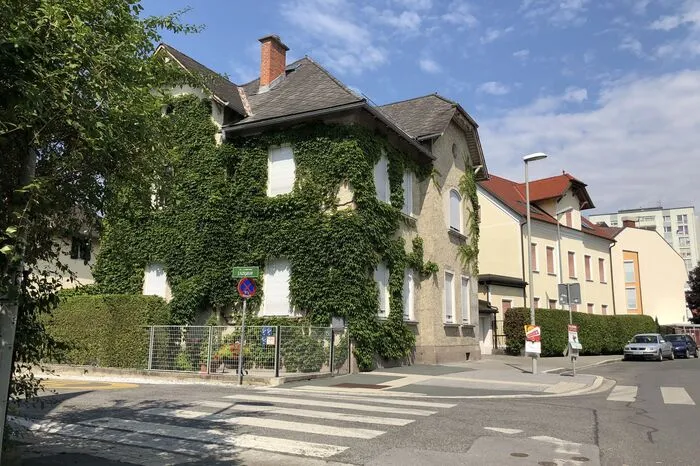 Ein grünes Kleid für das ganze Haus in der Lisztgasse.