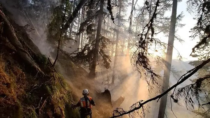 Feuerwehren kämpfen seit den Morgenstunden gegen das Feuer 